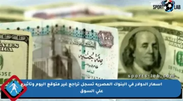 أسعار الدولار في البنوك المصرية تسجل تراجع غير متوقع اليوم وتأثيره على السوق